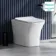 Houston Rimless Back To Wall Toilet With Premium Soft Close Slim Seat