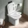 Dallas Rimless Back To Wall Toilet With Slim Soft Close Seat