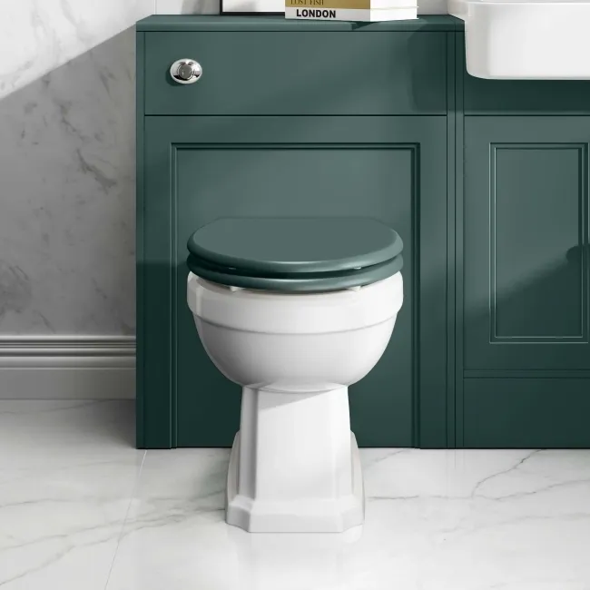 Hudson Traditional Back To Wall Toilet With Midnight Green Wooden Seat