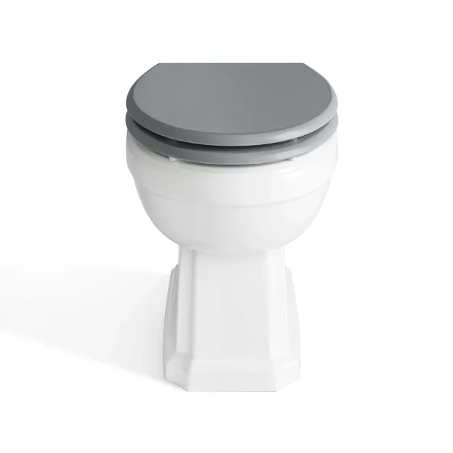 Hudson Traditional Back To Wall Toilet With Dove Grey Wooden Seat - Brushed Brass Hinges