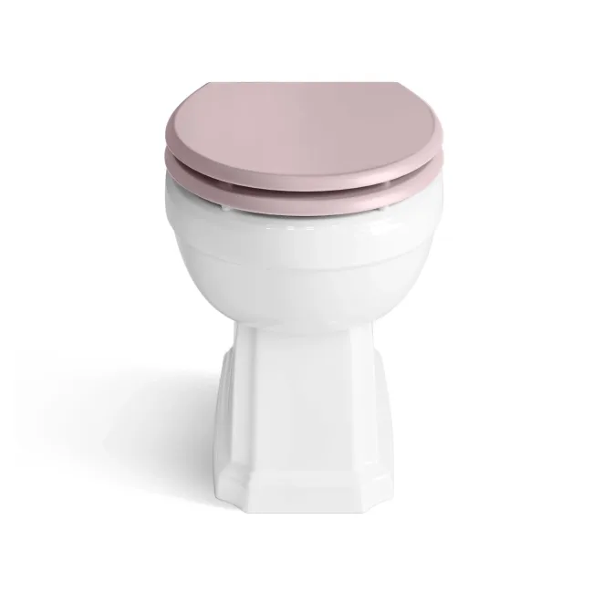 Hudson Traditional Back To Wall Toilet With Cashmere Pink Wooden Seat - Brushed Brass Hinges