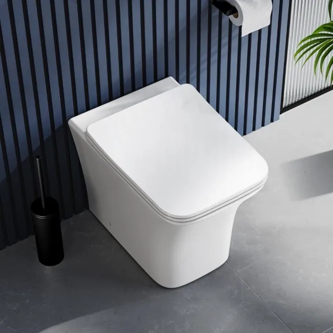 Houston Rimless Back To Wall Toilet With Premium Soft Close Slim Seat