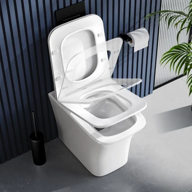 Houston Rimless Back To Wall Toilet With Premium Soft Close Slim Seat