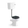 Hudson Traditional Toilet With Low-Level Cistern and Inky Blue Wooden Seat