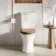 Alma Traditional Rimless Close Coupled Toilet With Oak Effect Wooden Soft Close Seat - Brushed Brass Hinges