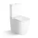Loma Rimless Fully Back To Wall Close Coupled Toilet With Premium Soft Close Seat