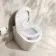 Loma Matt White Rimless Back To Wall Toilet With Premium Soft Close Slim Seat