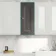 Graphite Grey Wall Hung Cabinet 700x300mm
