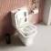 Boise Rimless Close Coupled Toilet With Premium Soft Close Slim Seat