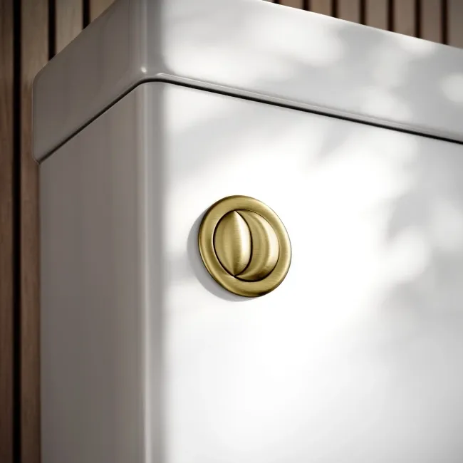 Brushed Brass Cistern Flush Button for Loma & Brooklyn Combined 2-In-1 Wash Basin + Toilet
