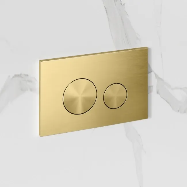 Idaho Pneumatic Wall Hung Toilet Frame and Concealed Cistern with Brushed Brass Flush Plate - Round Buttons