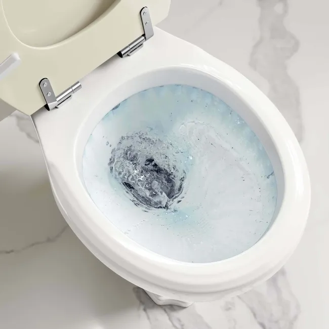 Hudson Traditional Toilet With High-Level Cistern and Chalk White Wooden Seat