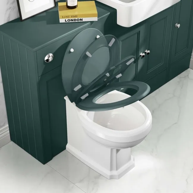 Hudson Traditional Back To Wall Toilet With Midnight Green Wooden Seat