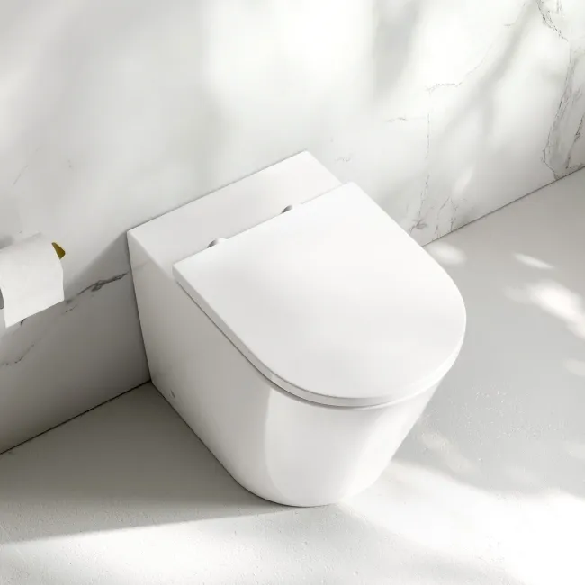 Loma Rimless Back To Wall Toilet With Premium Soft Close Seat
