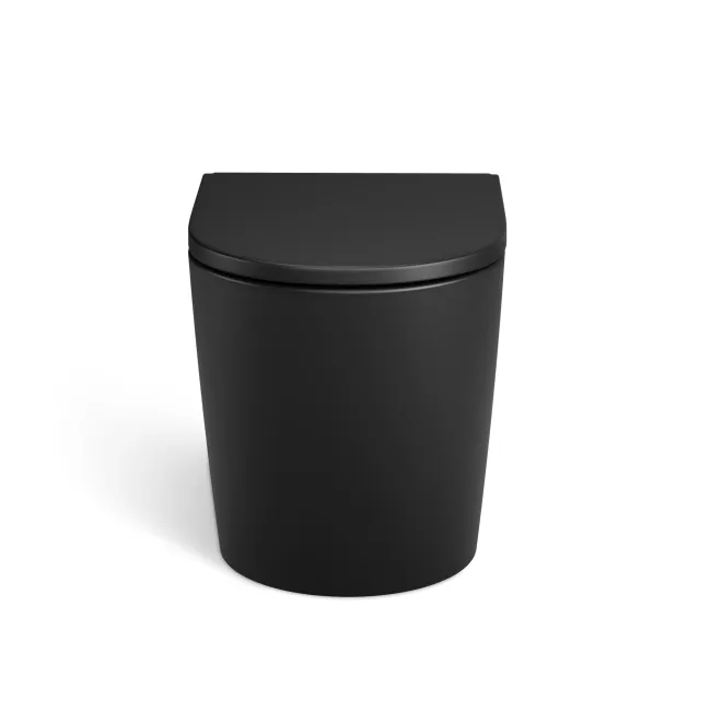 Loma Matt Black Rimless Back To Wall Toilet With Premium Soft Close Seat