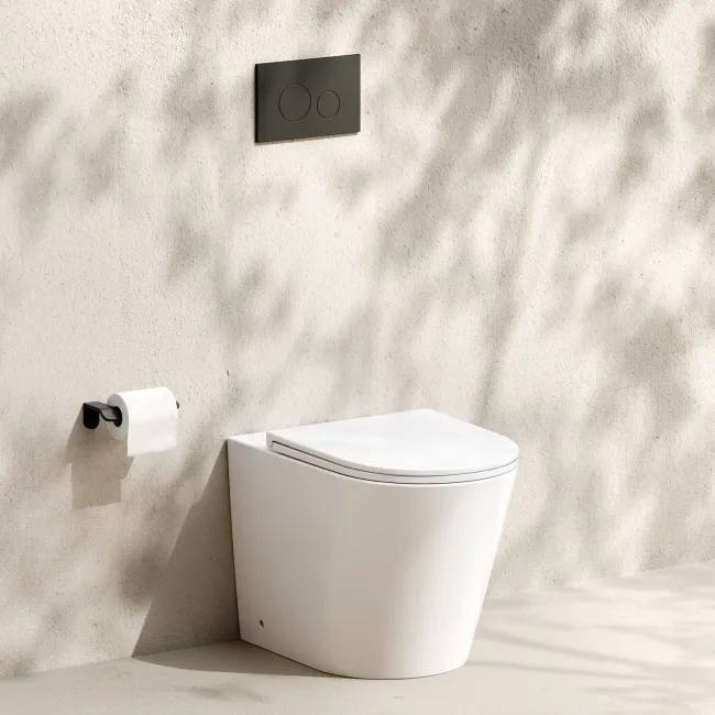 Loma Matt White Rimless Back To Wall Toilet With Premium Soft Close Slim Seat
