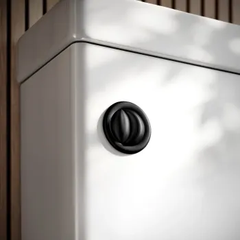 Matt Black Cistern Flush Button for Loma & Brooklyn Combined 2-In-1 Wash Basin + Toilet