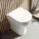Troy Soft Close Seat for Comfort Height Back To Wall Toilet