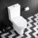 Lodi Quick Release Soft Close Slim Seat