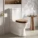 Alma Traditional Oak Effect Wooden Soft Close Seat with Brushed Brass Hinge