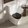Alma Traditional Gloss Black Wooden Soft Close Seat with Brushed Brass Hinges