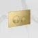 Idaho Pneumatic Concealed Cistern with Brushed Brass Flush Plate - Round Buttons
