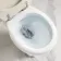 Hudson Traditional Toilet With Low-Level Cistern and Chalk White Wooden Seat