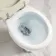 Hudson Traditional Toilet With High-Level Cistern and Chalk White Wooden Seat
