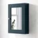 Inky Blue Mirror Cabinet 700x500mm - Brushed Brass Accents