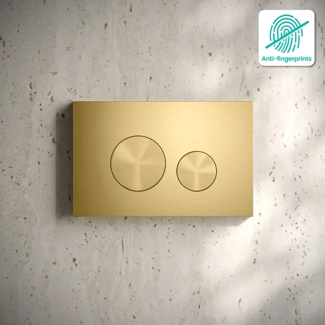 Idaho Brushed Brass Round Button Flush Plate