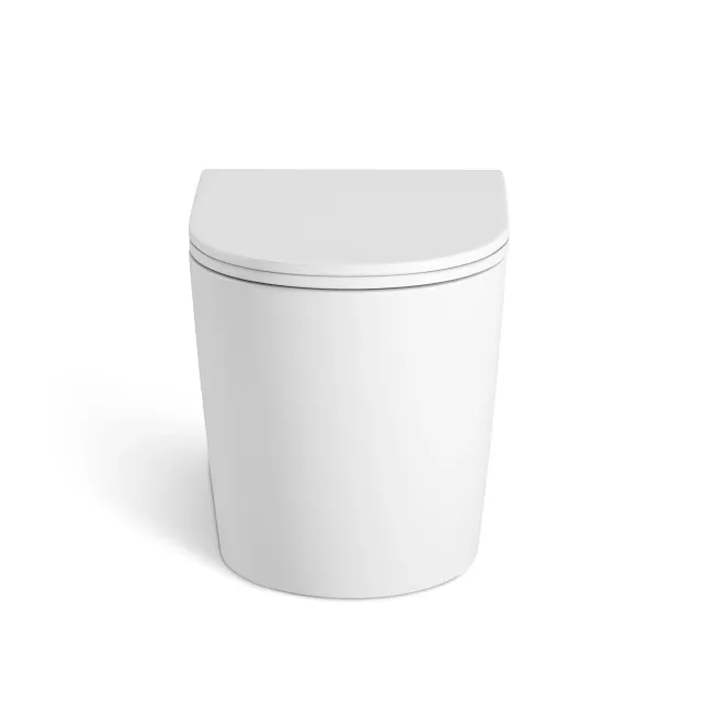 Loma Matt White Rimless Back To Wall Toilet With Premium Soft Close Slim Seat